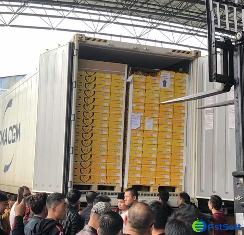 kiwi fruit processing machine.jpg kiwi fruit processing machine.jpg